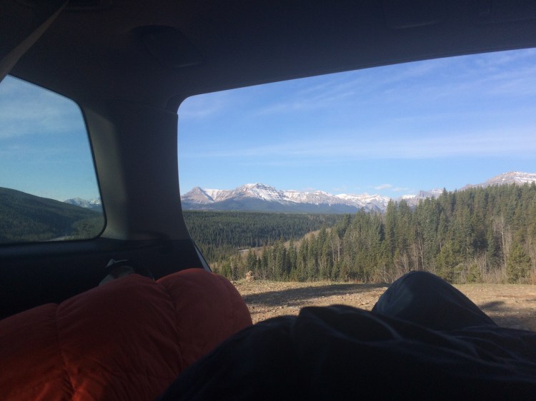 A view from inside the car looking out through the custom window screen at a forest.