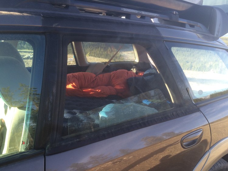 A custom-made mesh window screen with magnets attached to the outside of a car door frame.