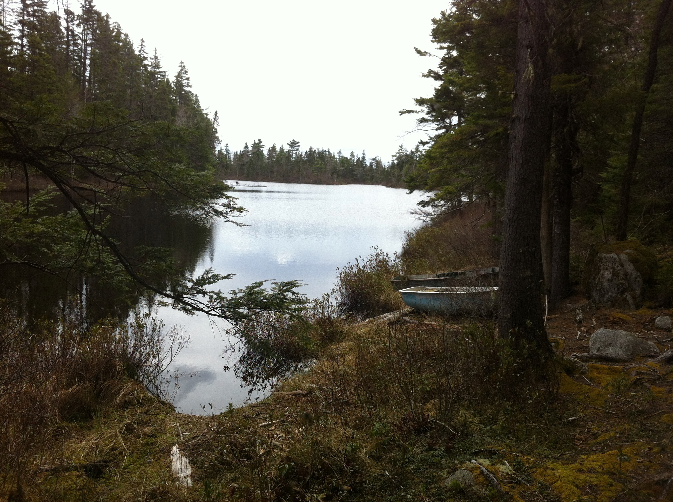 A team member looking at a map during the orienteering challenge.