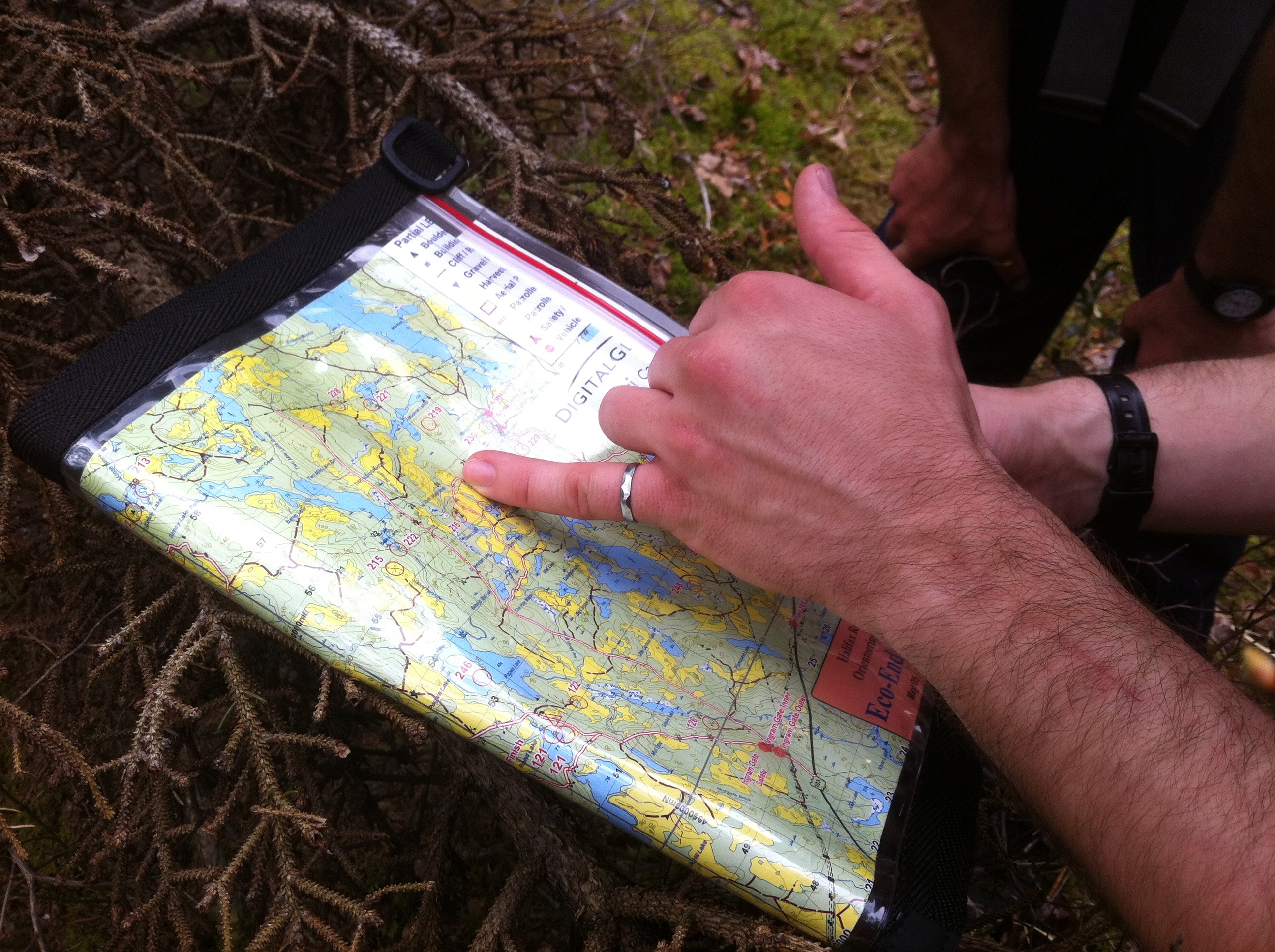 A checkpoint flag in the woods during the E2C race.