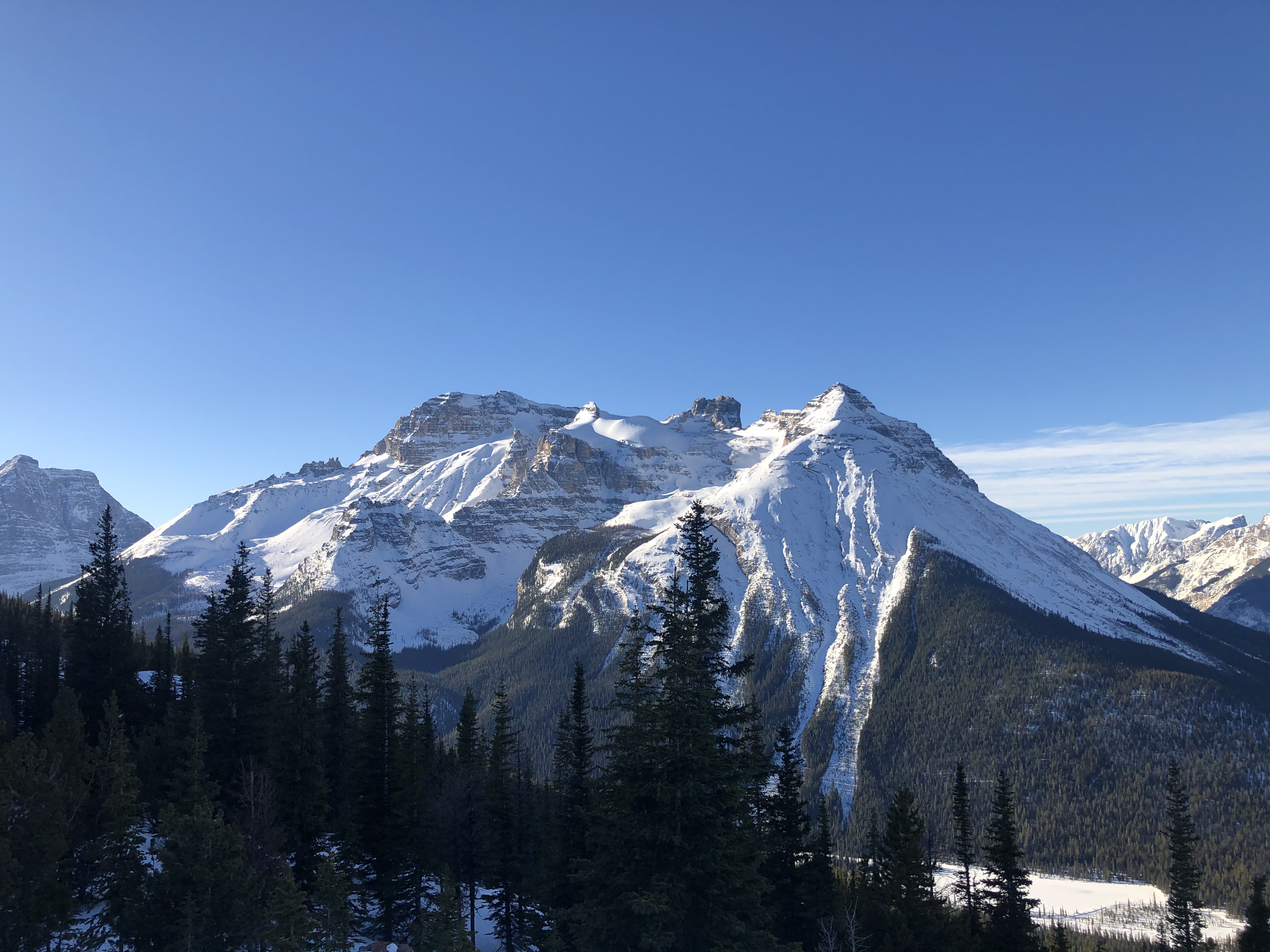 A view from the top of a backcountry ski run, looking down at the tracks.