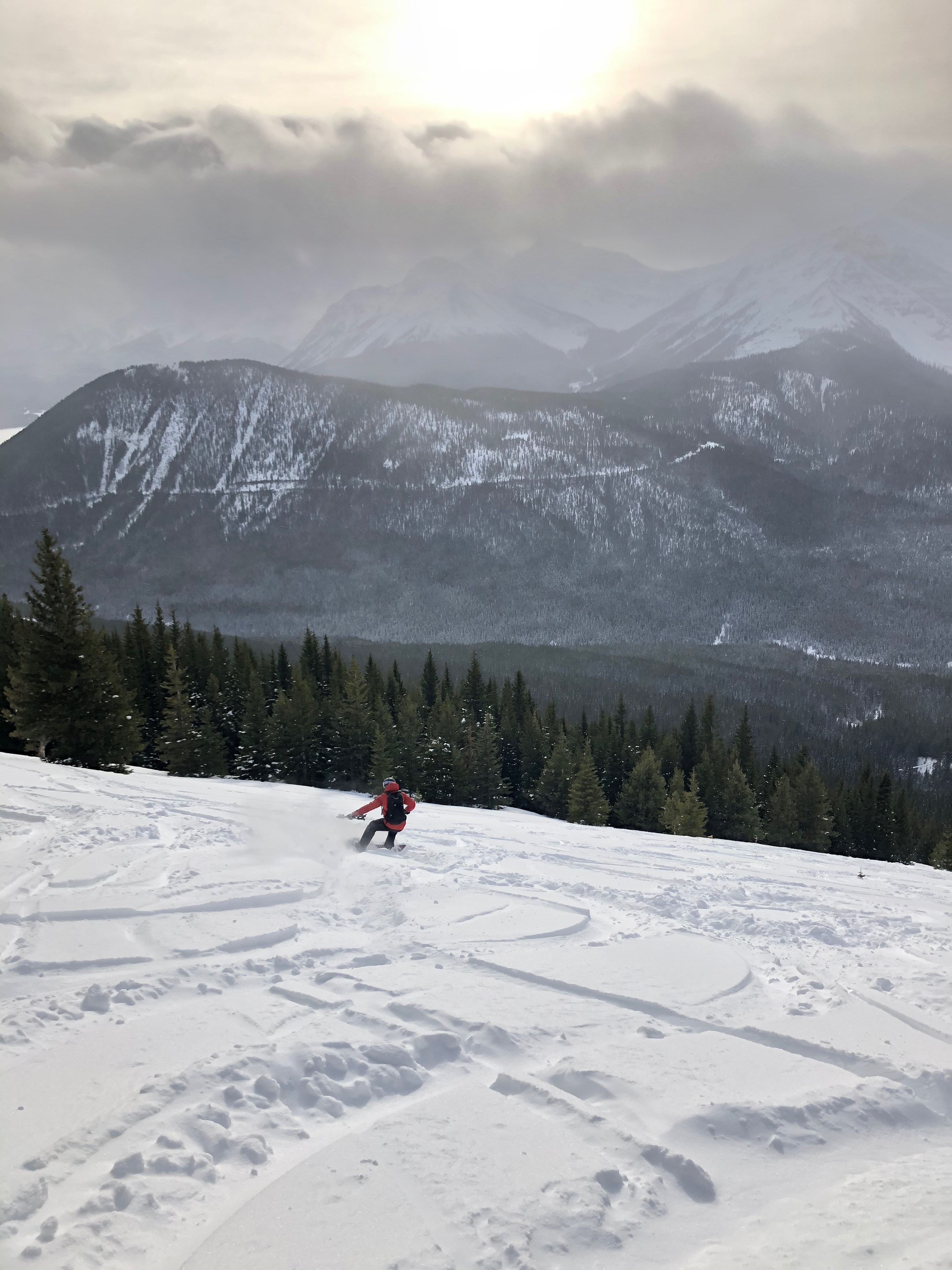 A splitboarder hiking through a snowy forest.