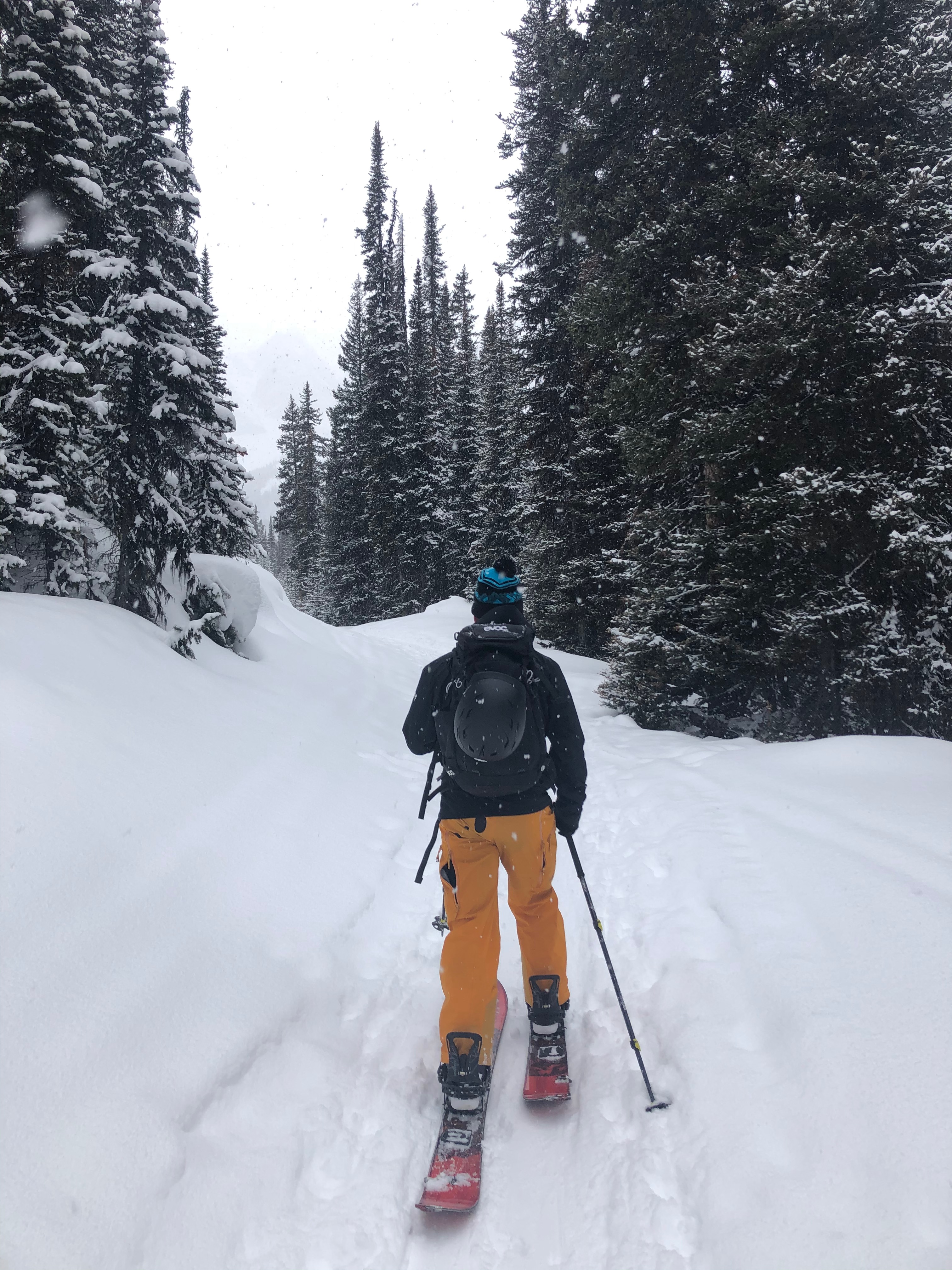 A mountain biker riding on a paved pathway.