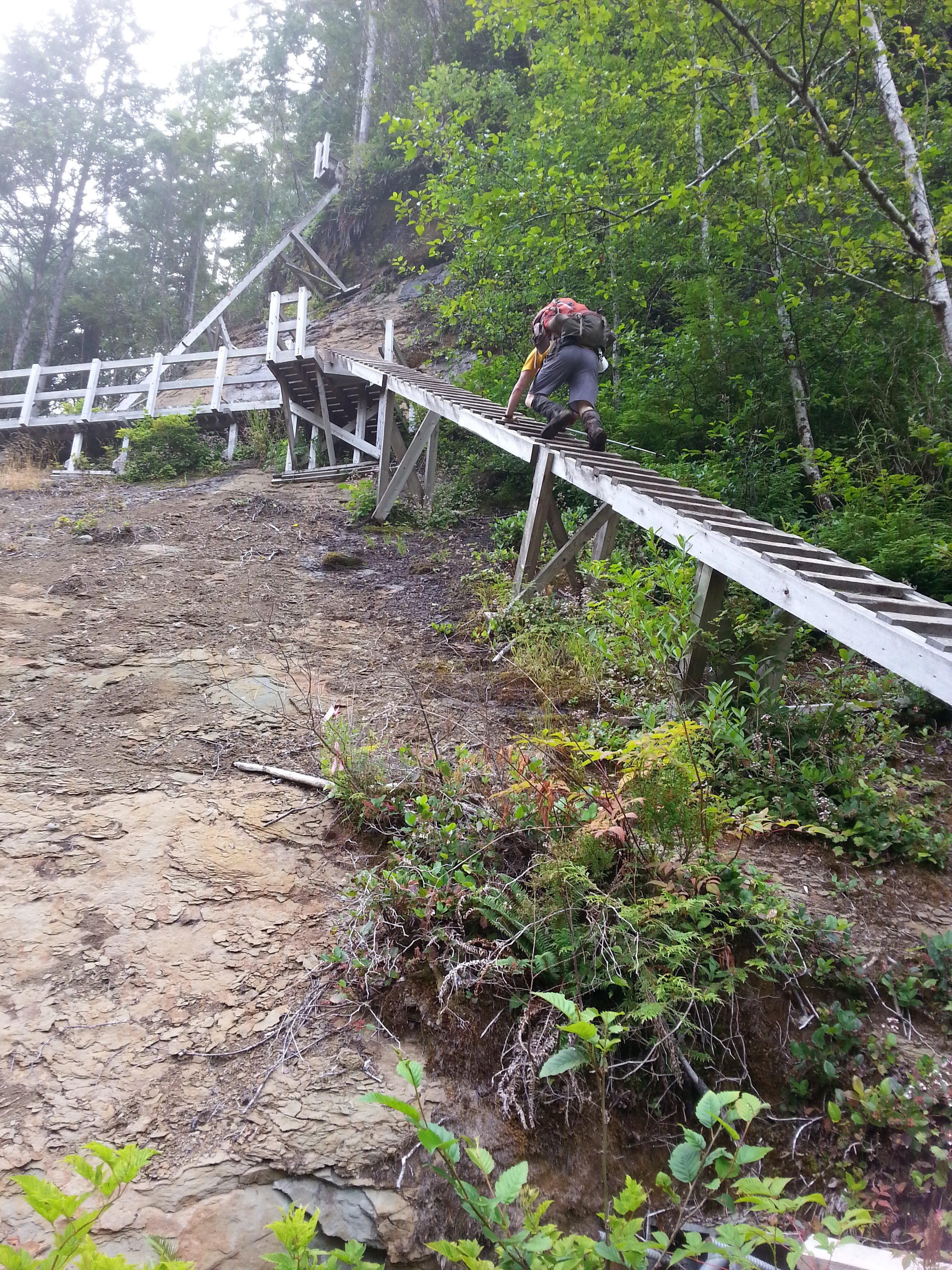 Looking down at hiking boots on a wet wooden ladder on the West Coast Trail.